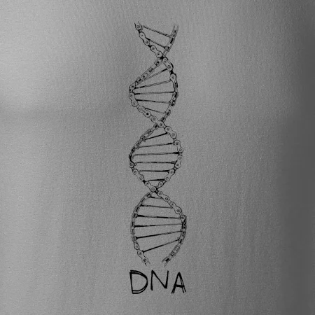 Cyklistovo DNA