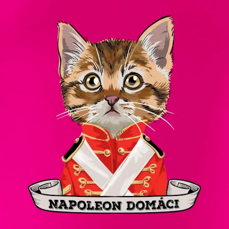 Napoleon domáci mačka