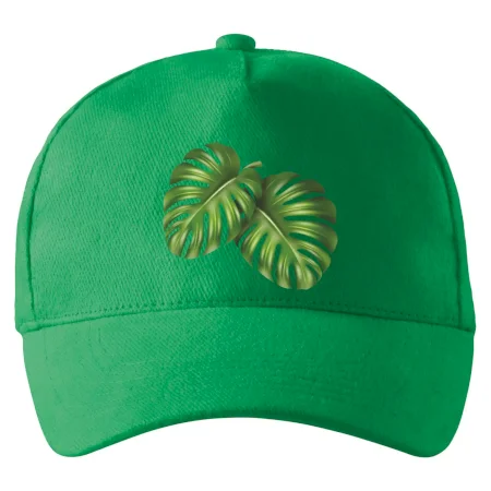 Monstera - dva listy