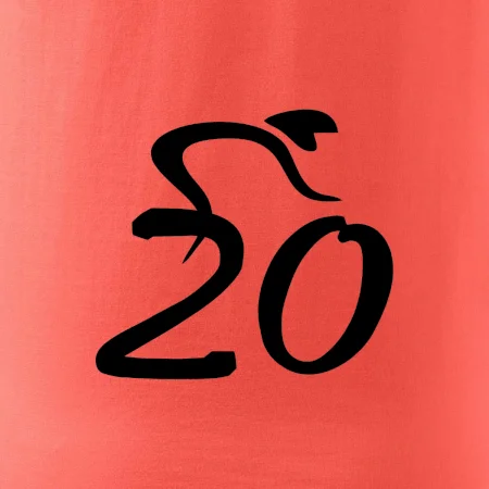 Cyklista oslavuje dvadsiatku (20)
