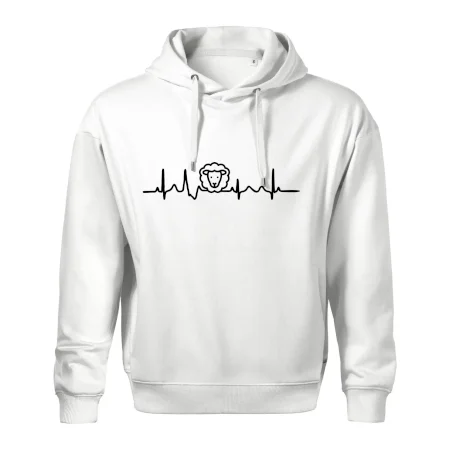 Ekg ovce