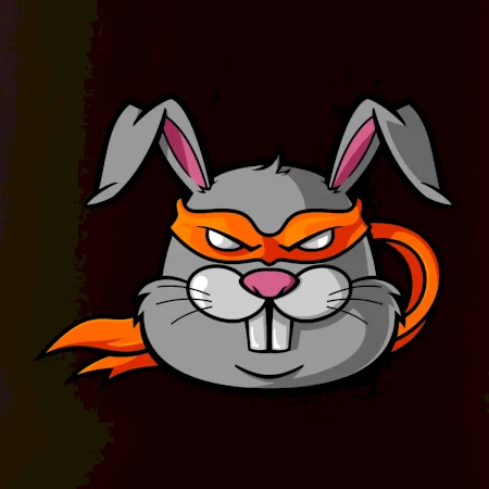 Ninja králík