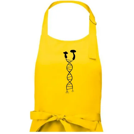 DNA huby