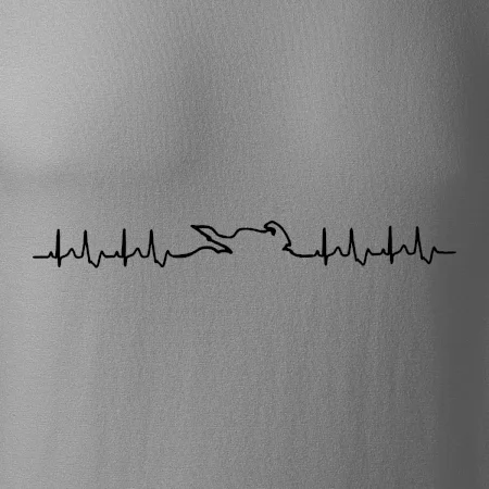 Moto EKG