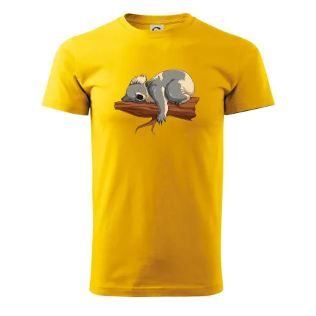 Koala na vetve