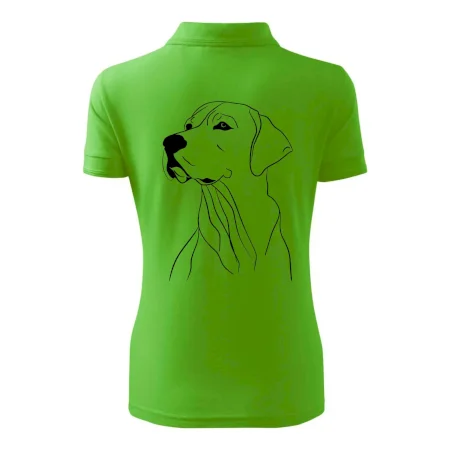 Labrador čierna kresba