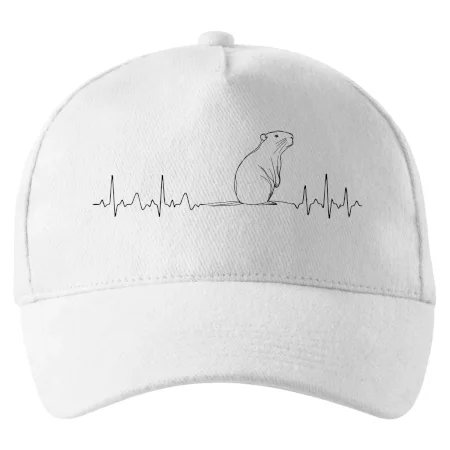 EKG krivka kapybara