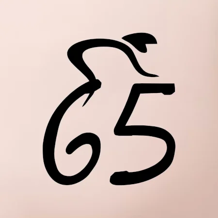 Cyklista oslavuje šesťdesiatpäťku (65)