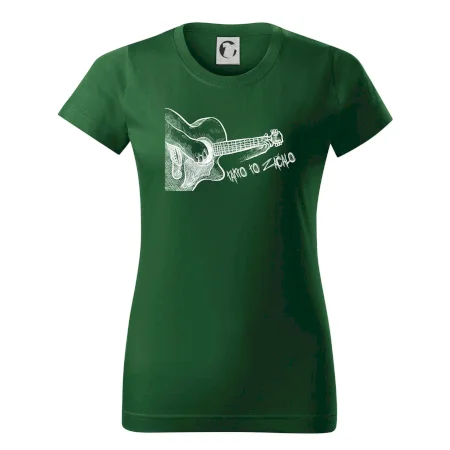 Gitara, takto to začalo