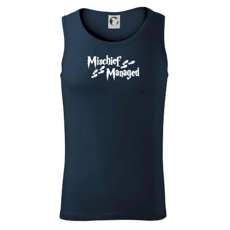 Harry - Mischief Managed