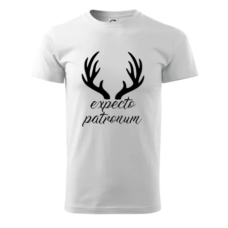 Harry - Expecto patronum
