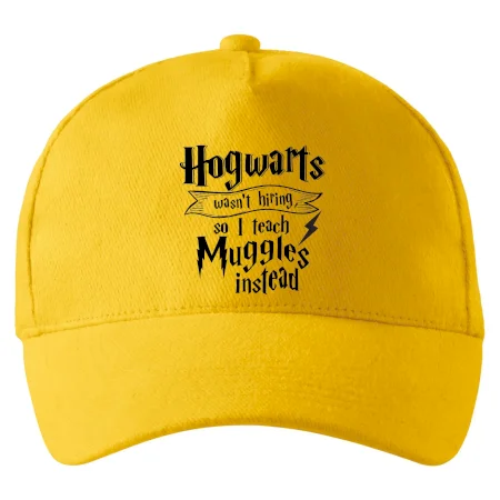 Harry - Hogwarts wasn’t hiring, so I teach Muggles instead