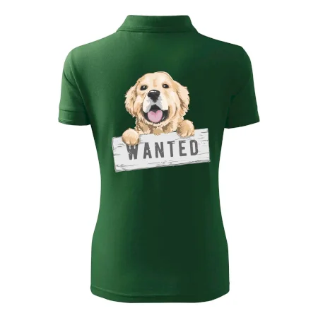 Zlatý retriever - šteniatko wanted