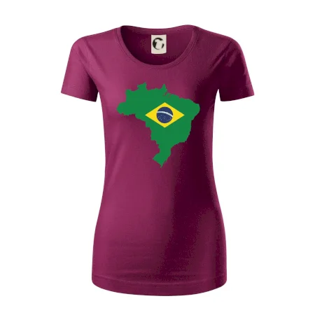 Brazília vlajka v mape