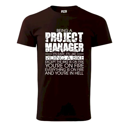 Being A Project Manager - bike