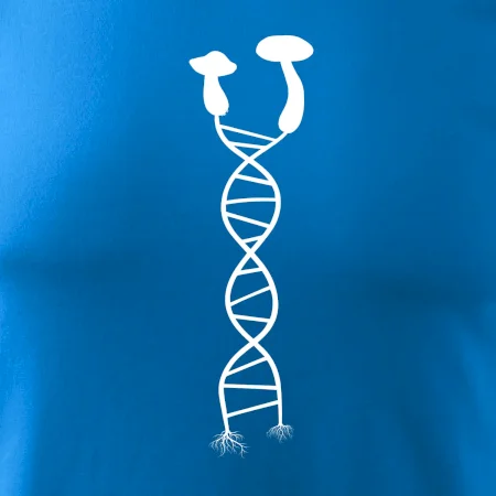 DNA huby