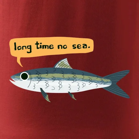 Long time no sea