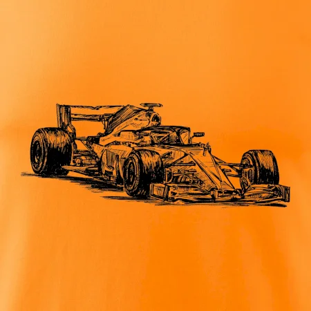 Formula v závode