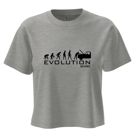 Evolúcia mechanik