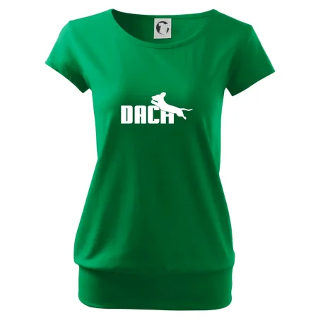 Jazvečík Dach