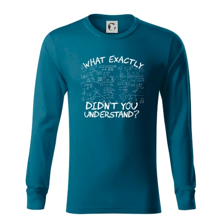 What exactly didn't you understand - physics