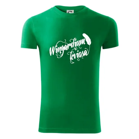 Harry - Wingardium Leviosa