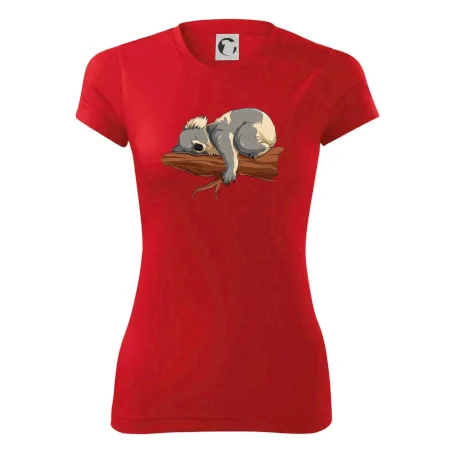Koala na vetve