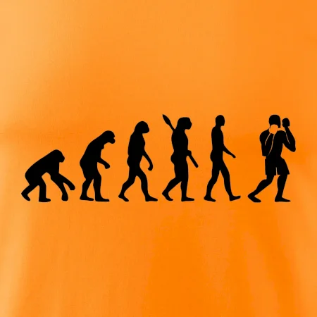 Evolúcia box