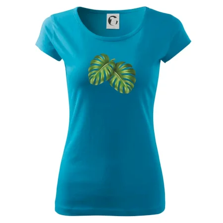 Monstera - dva listy