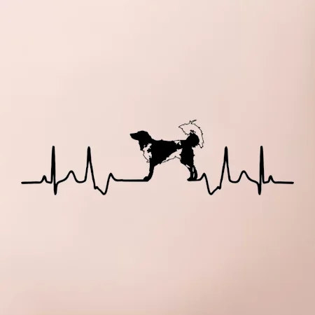 Český strakatý pes EKG