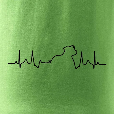 Stafordšírsky bulteriér ‎ EKG