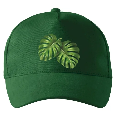 Monstera - dva listy