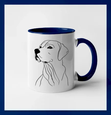 Labrador čierna kresba