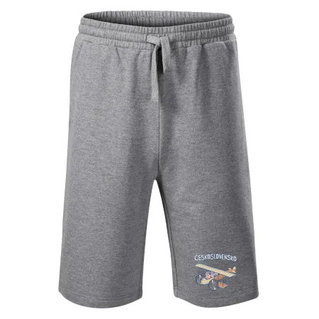 Československo lietadlo (Pecka design)