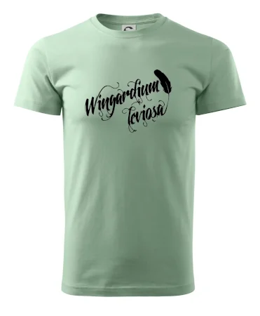 Harry - Wingardium Leviosa