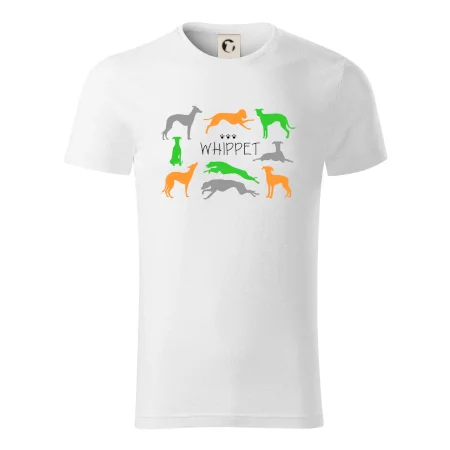 Whippet farebný