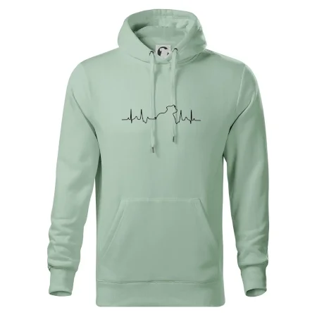 Stafordšírsky bulteriér ‎ EKG