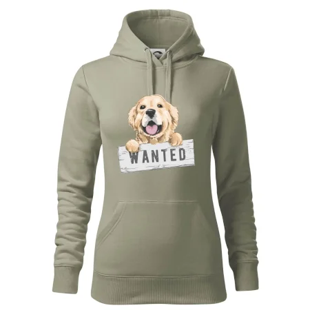 Zlatý retriever - šteniatko wanted