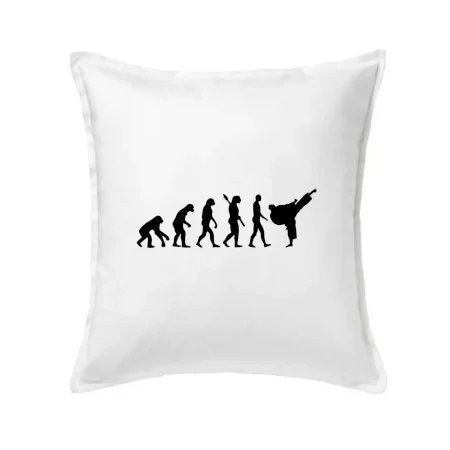 Karate Evolúcia - kop