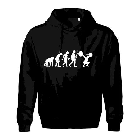 Evolution fitness