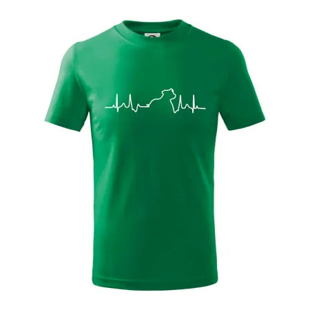 Stafordšírsky bulteriér ‎ EKG