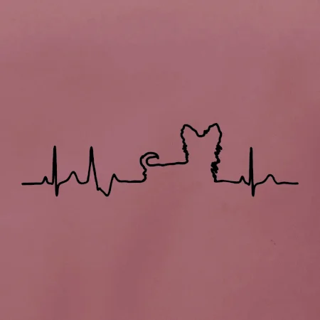 Yorkshirský teriér EKG