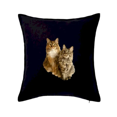 Mačky vectorizované (Moňas)