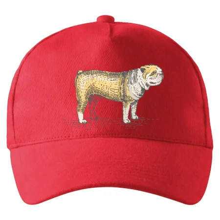 Vintage bulldog