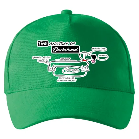 Jazvečík - Anatómia