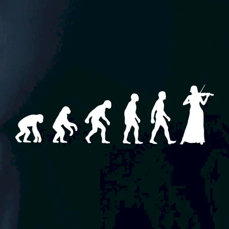 Evolúcia huslista / huslistka