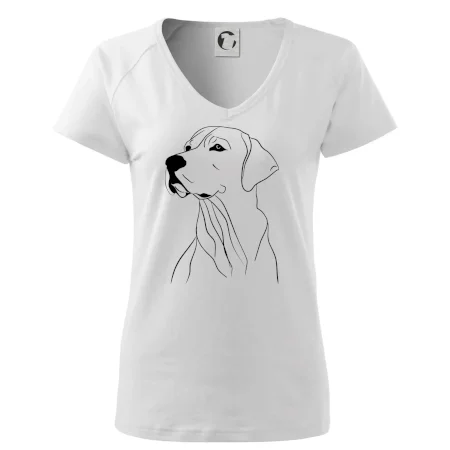 Labrador čierna kresba