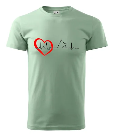 Nemecký ovčiak ekg