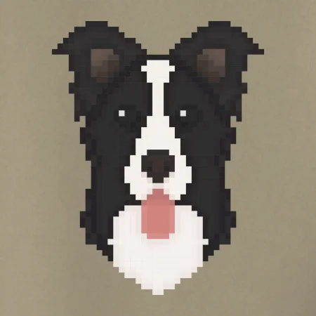 Border kólia Pixel