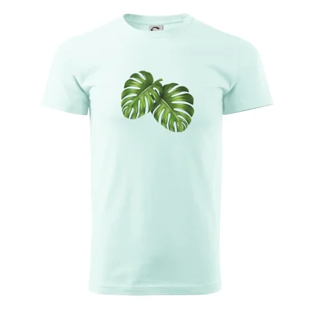Monstera - dva listy
